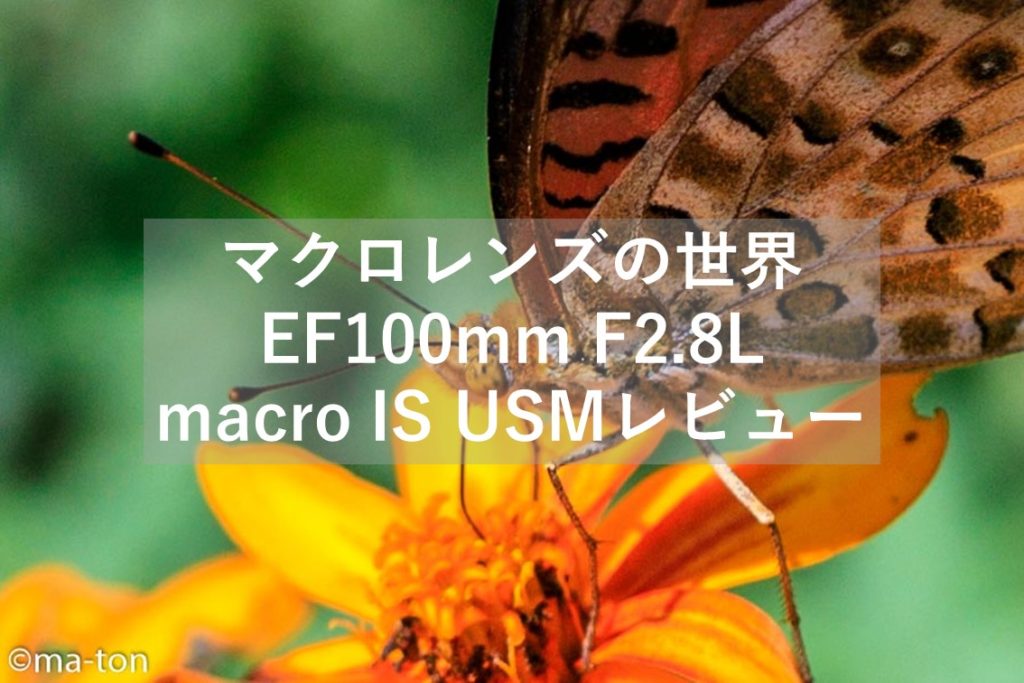 EF100mm F2.8L macro IS USMレビュー！Canonのマクロレンズはこれできまり！ まーとんブログ